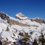 Beau-soleil à Leysin