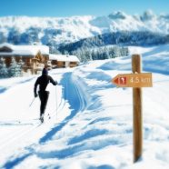 Sortie à ski de fond