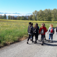 Marche d’établissement