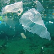 Du plastique dans l’air…