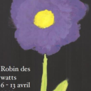 Robin des Watts, bilan