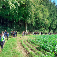 Marche d’établissement