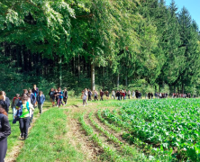 Marche d’établissement